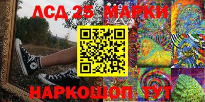 СК Тара