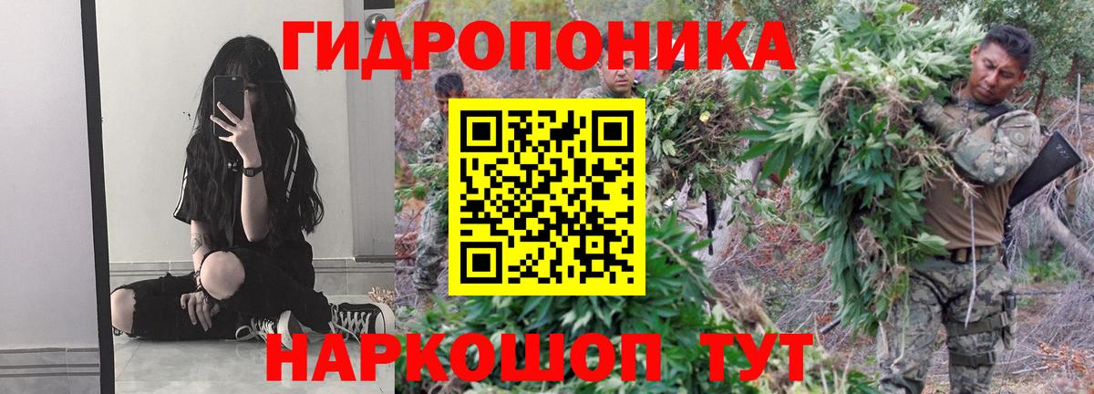 Шишки марихуана Bruce Banner Чапаевск